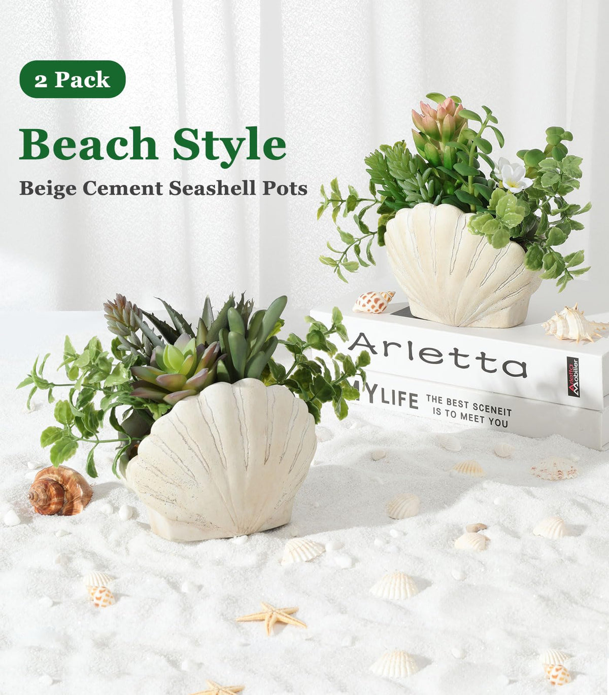 Lewondr shell pot minimalist design complements modern interiors