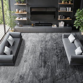 LIANLAM rug gray front view showing inviting texture