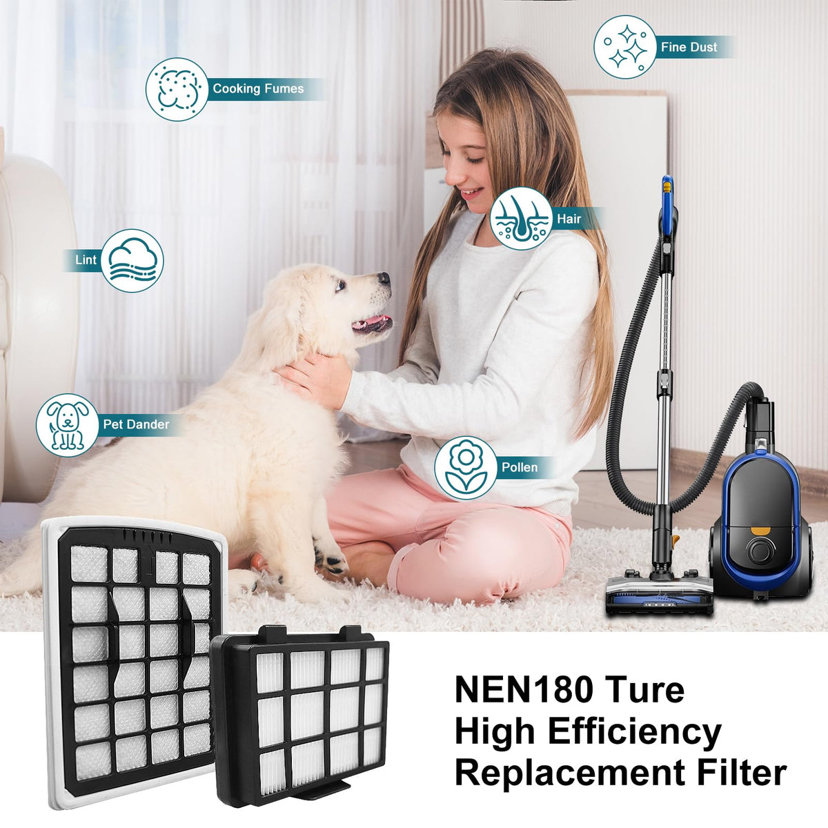 Lichelete filter installed in Eureka canister vacuum for steady operation.