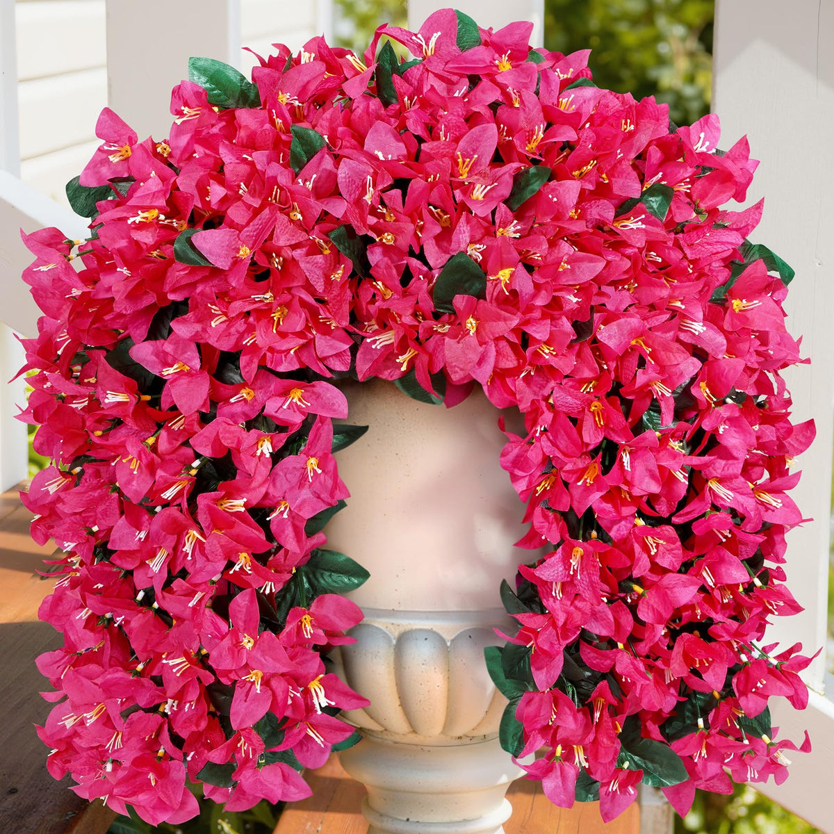 Lifewit bougainvillea vines with hot pink blooms brighten outdoor spaces.