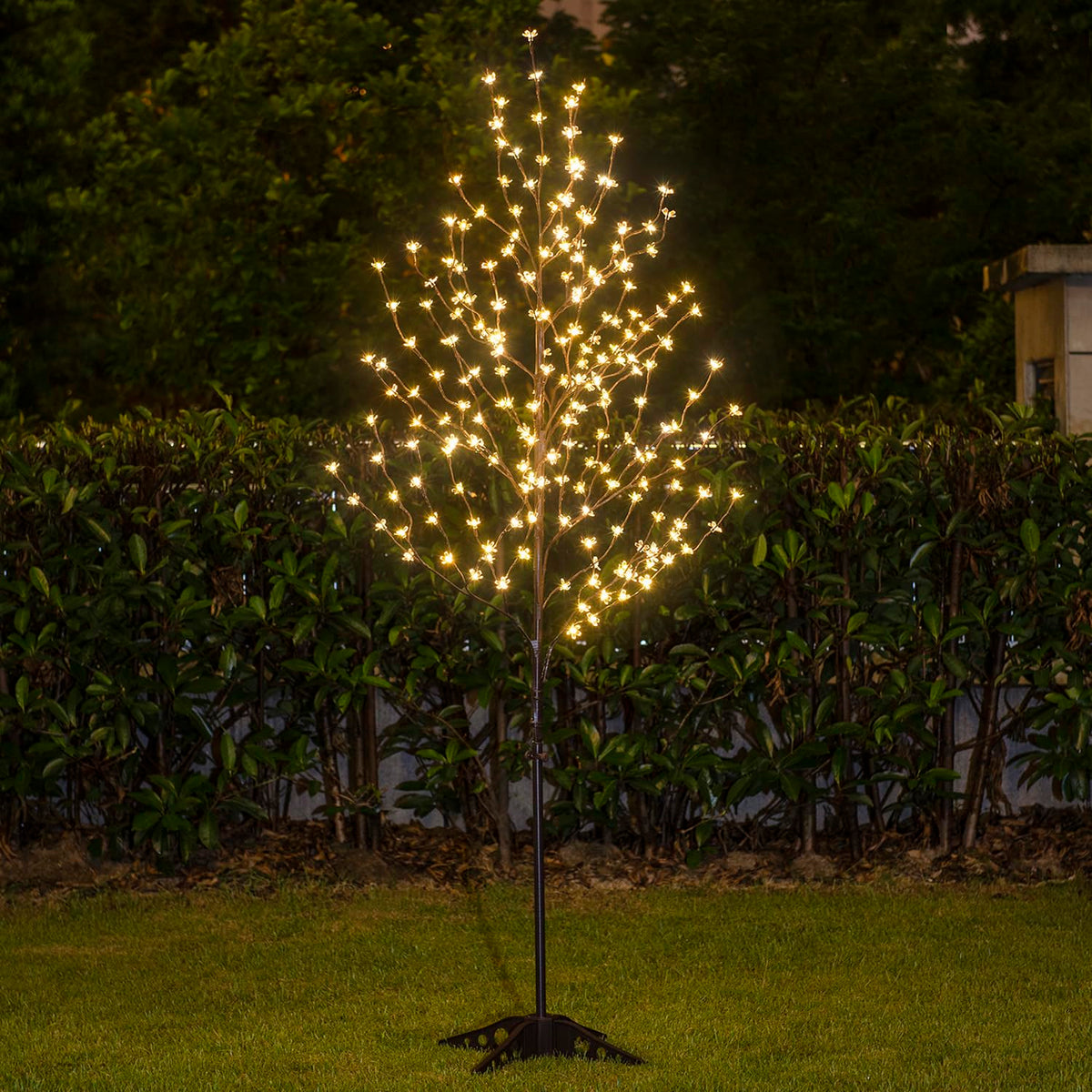Lightshare LED cherry blossoms create a soft ambience for living rooms and patios.