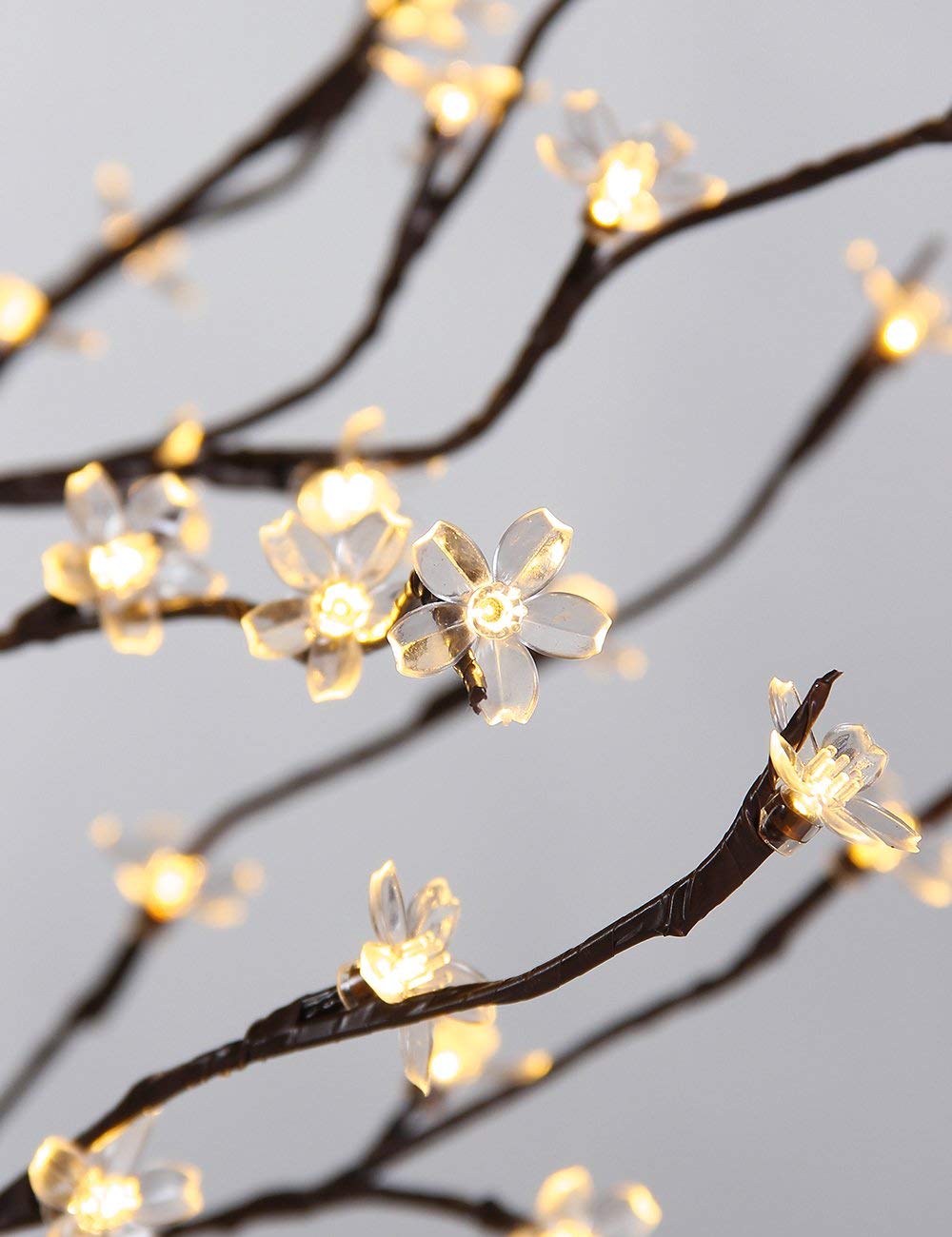Patio or garden setup using Lightshare cherry blossom tree