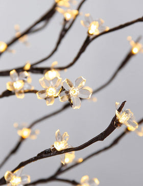 Patio or garden setup using Lightshare cherry blossom tree