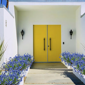 LikSoor window box installation looks lush year-round for a welcoming entry.