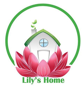 Lily's Home vintage living room display