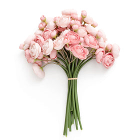 Ling's Moment ranunculus mini bloom in dusty rose ready for a DIY bouquet filler