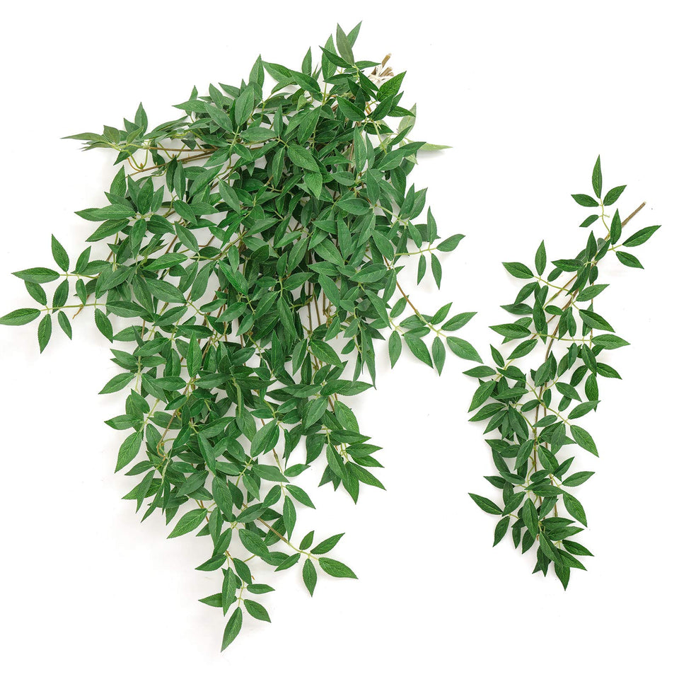 Ling's Moment Rosa Banksiae vines in a 7-pack for vibrant, low-maintenance greenery.