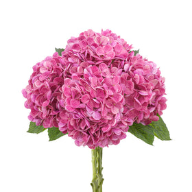 LINSIE rose pink silk hydrangea head close-up for lush home decor.