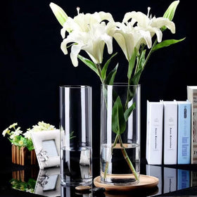 Liotww clear cylinder vase 10in ideal for tall stems and centerpieces.