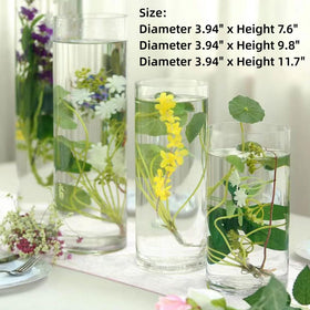 Liotww hydroponic decor vase supports modern plant displays.