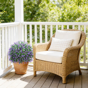 Little Glee front-porch lavender topiary pair enhances curb appeal.