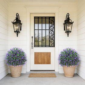 Little Glee indoor-outdoor lavender topiary for versatile decorating.