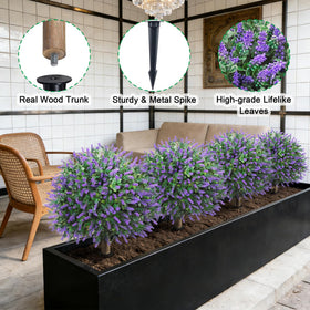 Little Glee two-pack topiaries ideal for balanced indoor or outdoor displays.