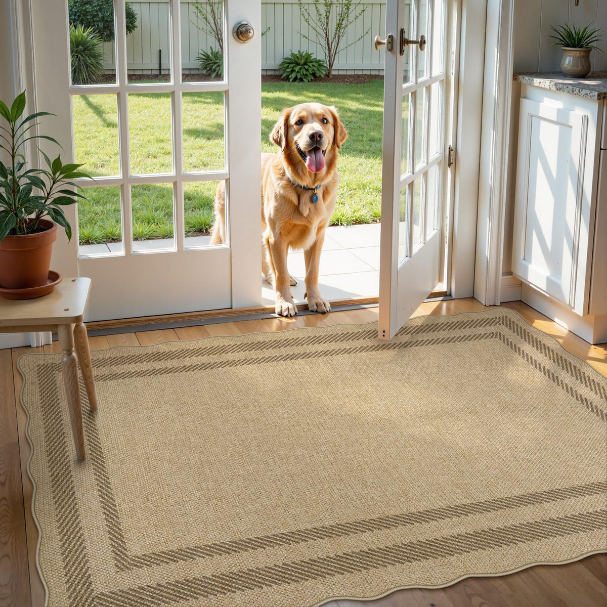 LIVEBOX durable 3x5 rug ideal for kids and pets