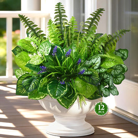 Livole Boston Fern outdoor arrangement adds year-round greenery with easy maintenance.