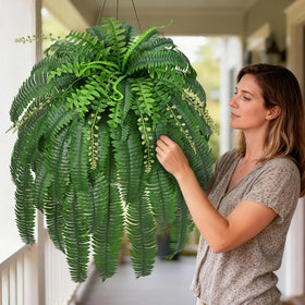 Livole 67-inch fern creates a dramatic backdrop for outdoor spaces.