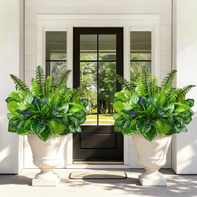 Livole morning glory outdoor focus showcases vibrant vines and playful texture.
