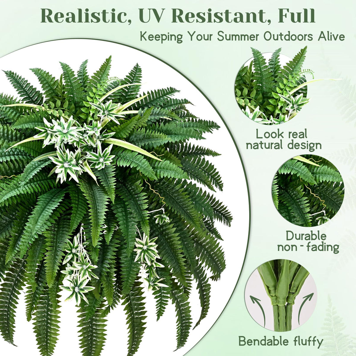 Livole requires no watering, offering low-maintenance greenery.