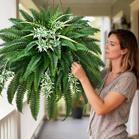 Livole no-watering-needed maintenance-friendly decoration for busy homes and offices.