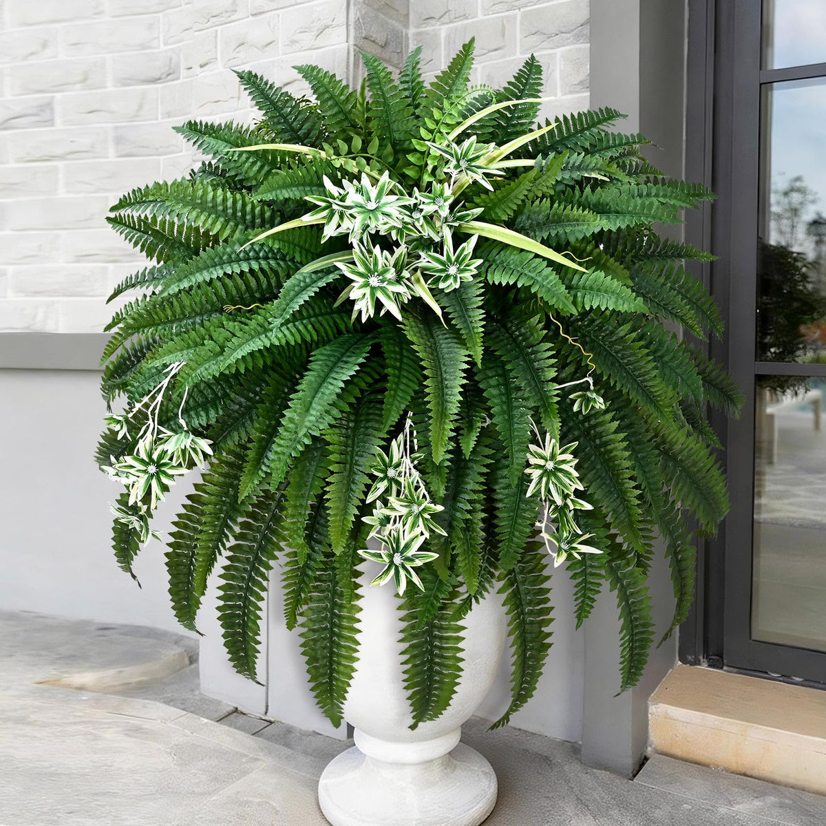 Livole planter-ready ferns suitable for indoor-outdoor display.