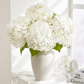 Livole white hydrangea bloom with 252 petals for lush decor
