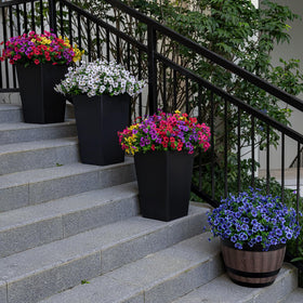 Lnoicy twenty bundles packaging highlights easy outdoor decorating and versatile arrangements.