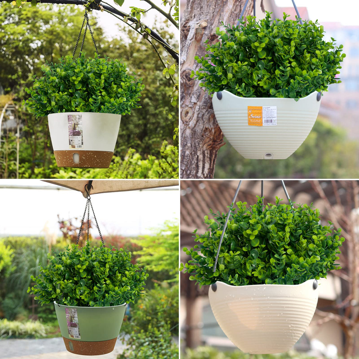 Lnoicy boxwood sprigs for vase—easy placement in containers