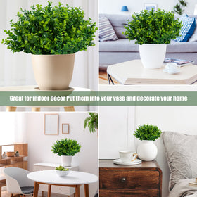 Lnoicy front porch garden decor—boxwood accents to boost curb appeal