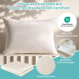 LOFE 2-pack view highlighting matched pillows for home use.