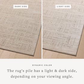 Loloi Amber Lewis Monty rug neutral tones suit living rooms across lighting.