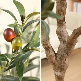 LOMANTO close-up trunk texture showcases realistic olive tree design.