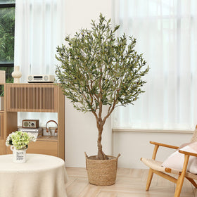 LOMANTO thick upgraded black pot provides sturdy, durable display.