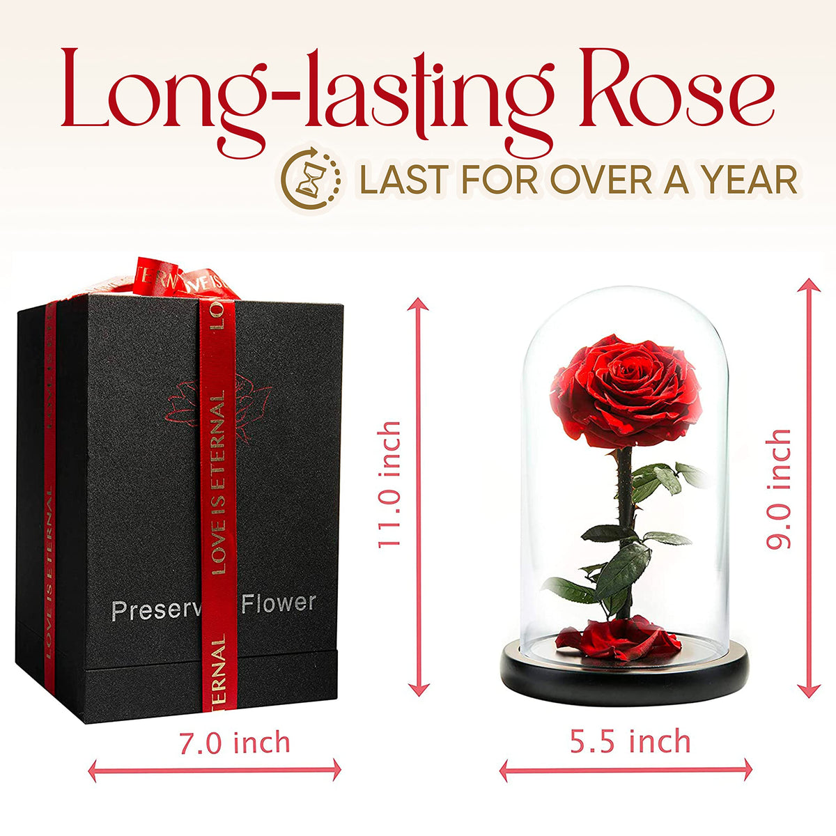 Beauty and the Beast rose in glass display, romantic touch