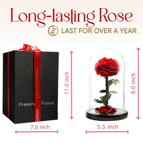Beauty and the Beast rose in glass display, romantic touch