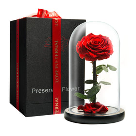 LOVAPPY forever preserved rose under glass dome for long-lasting decor