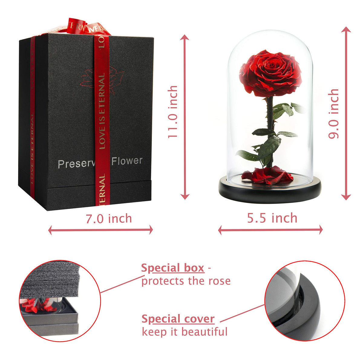 Preserved rose with dust-free dome keeps petals vibrant