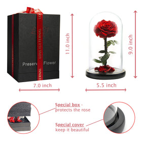 Preserved rose with dust-free dome keeps petals vibrant