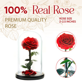 LOVAPPY red eternal rose 9 inch as a timeless centerpiece