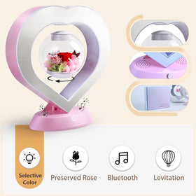 LoveLin desk-lamp with included adapter and tools for quick setup.