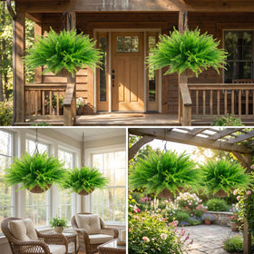 Lovemoon ferns on balcony railing create a natural outdoor focal point.