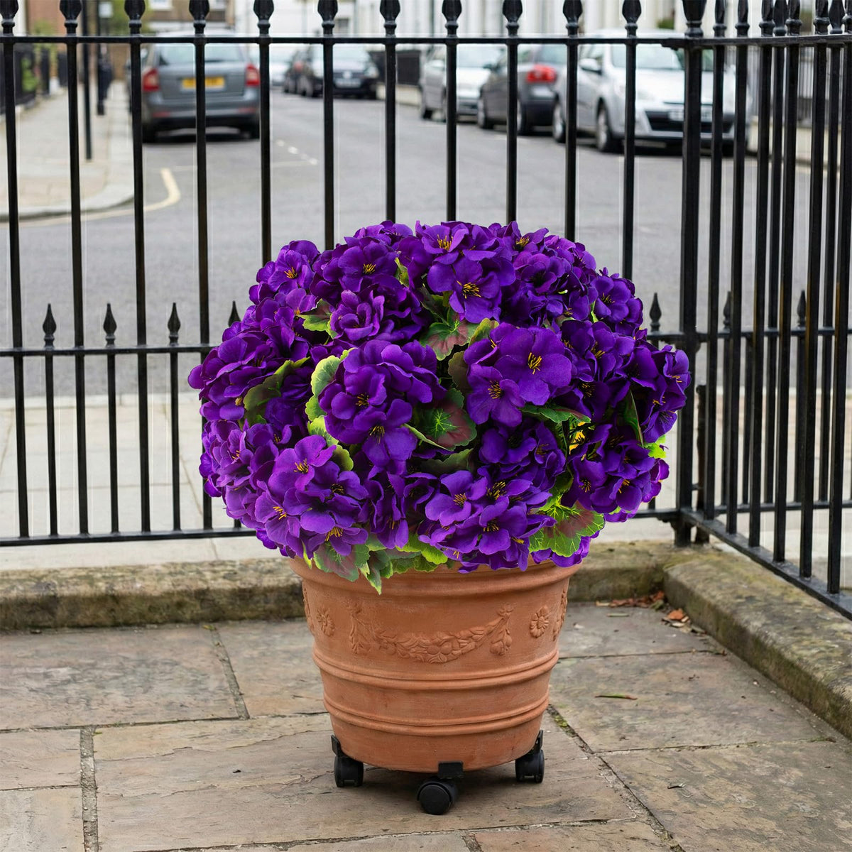 Lovemoon geraniums in a clear vase ready-to-display arrangement.