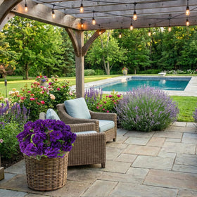 Lovemoon geraniums outdoor-ready with UV-fast color retention.