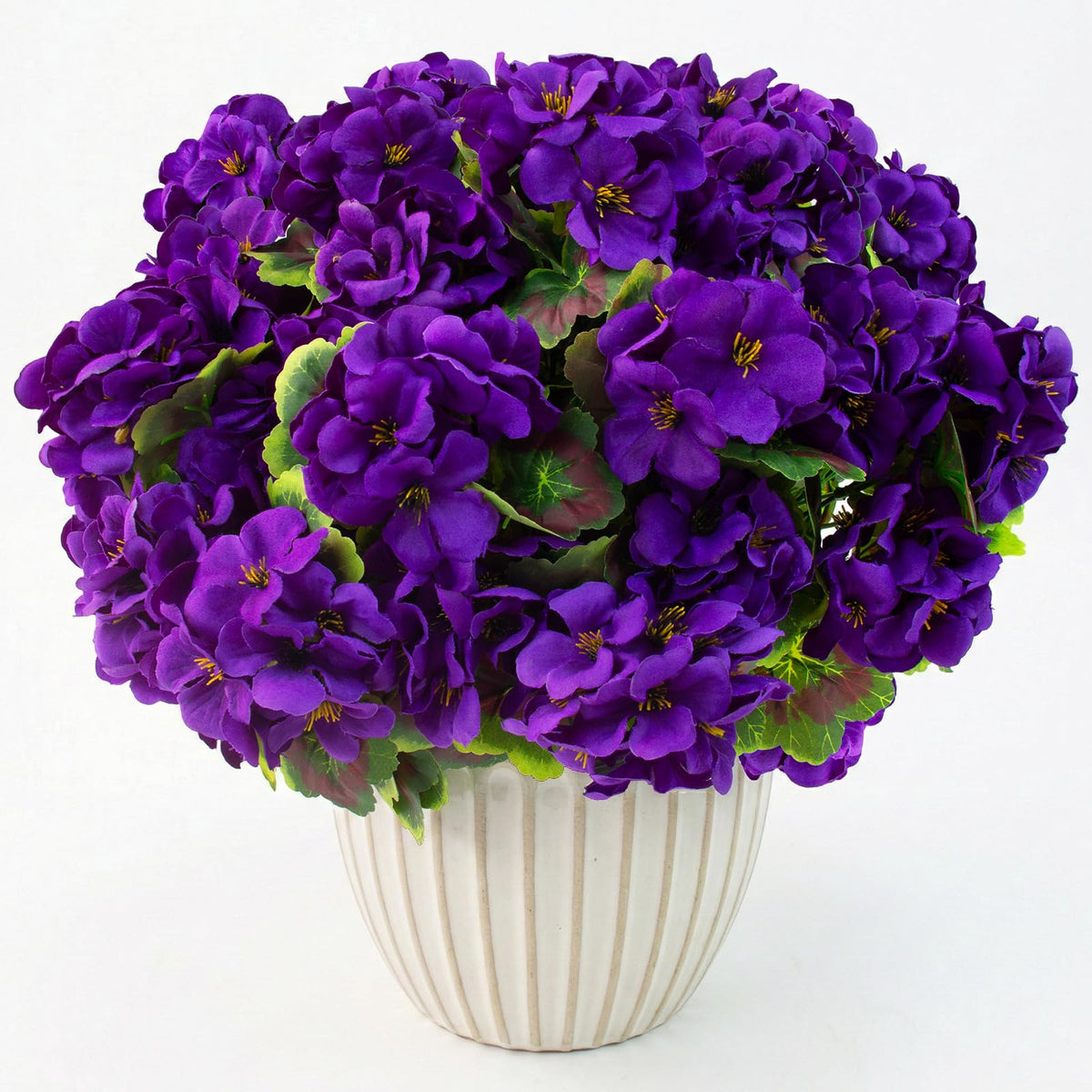 Lovemoon eight-piece geranium set ready for quick arrangement.