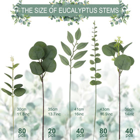 Lovemoon eucalyptus leaves five varieties for versatile floral arrangements.