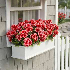 Lovemoon geranium leaves in modern decor scene.