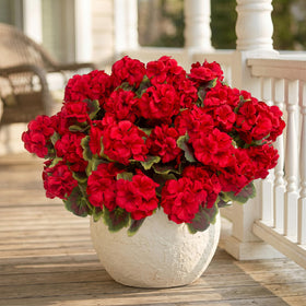 Lovemoon plants require no assembly and are ready to use