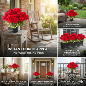 Lovemoon 19-inch potted geraniums arrive ready to display.