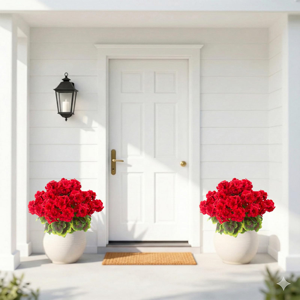 Two-pack Lovemoon geraniums for cohesive outdoor décor.