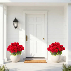Two-pack Lovemoon geraniums for cohesive outdoor décor.