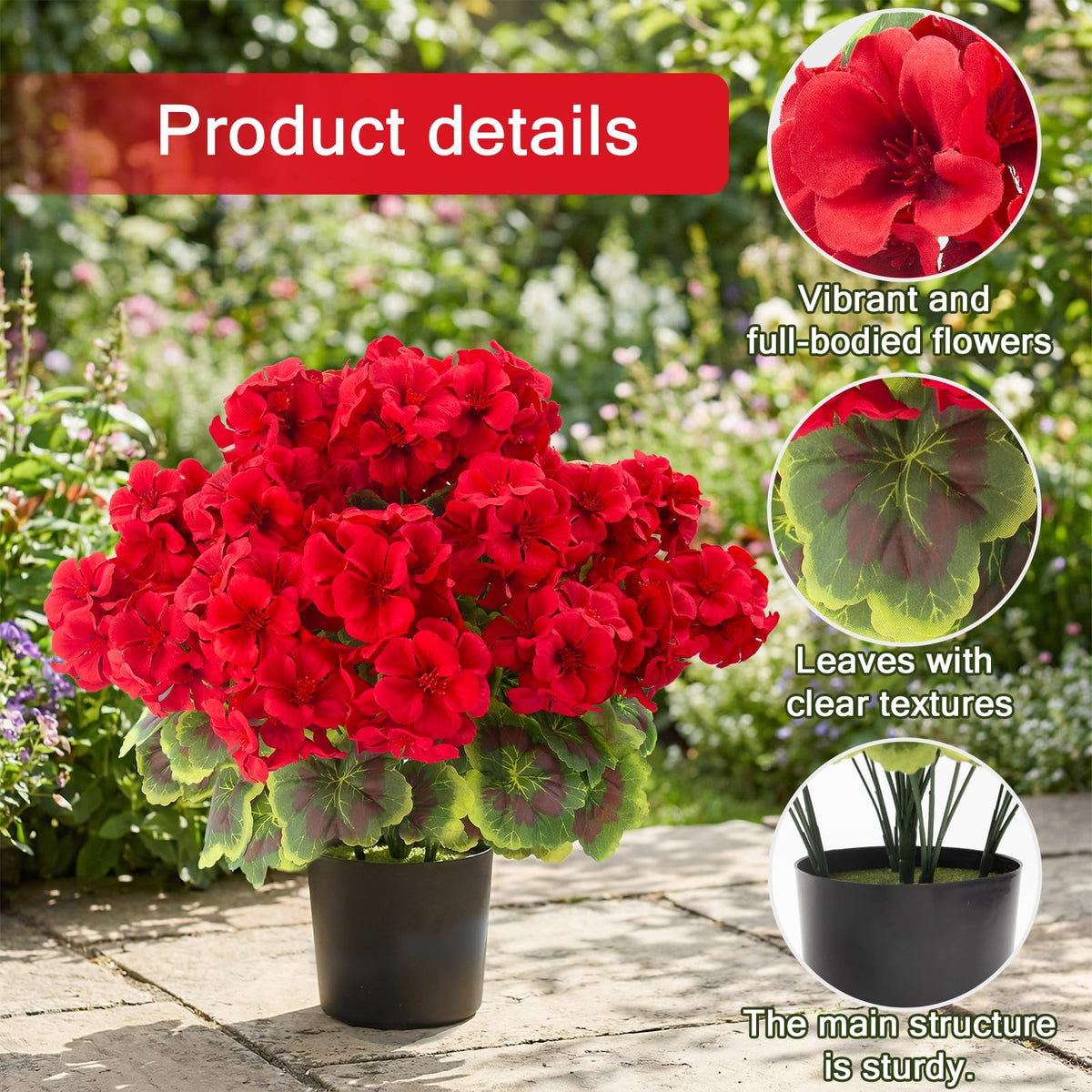 Lovemoon geraniums are perfect for porches, patios, and garden edges.